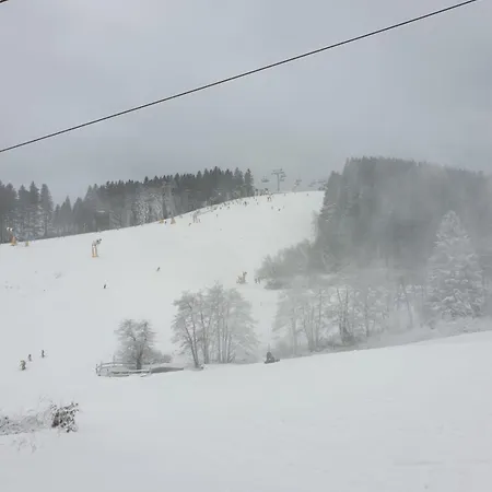 Bed & Breakfast Waldhof Hochsauerland 3*