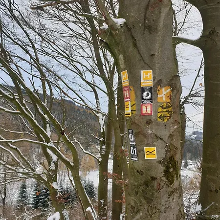 Hotel On Route L854 - Zum Riepen Medebach