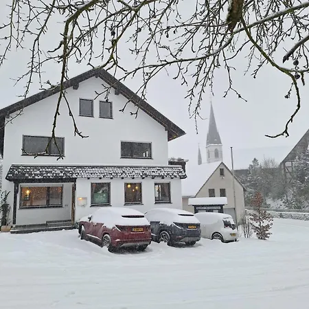 Waldhof Hochsauerland 酒店 梅德巴赫