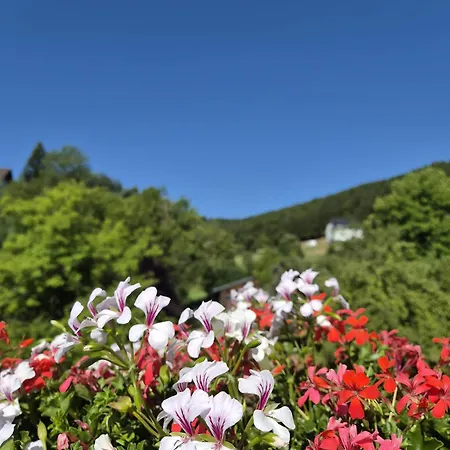 Bed & Breakfast Waldhof Hochsauerland