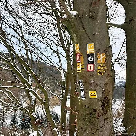 Bed & Breakfast Waldhof Hochsauerland Medebach