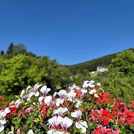 Waldhof Hochsauerland Couette-café Medebach