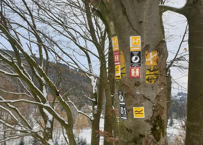 酒店 Waldhof Hochsauerland 梅德巴赫