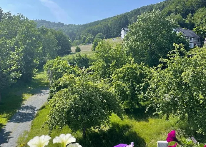 Waldhof Hochsauerland 3* Medebach