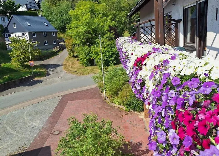 酒店 Waldhof Hochsauerland 3*