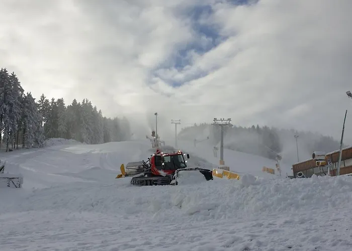 Waldhof Hochsauerland 3* 梅德巴赫